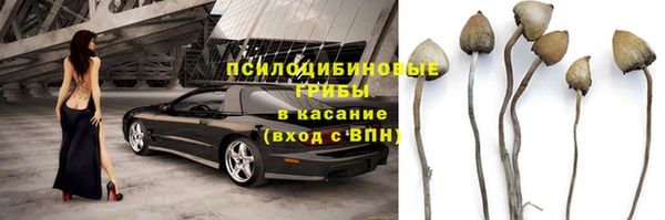 ПСИЛОЦИБИНОВЫЕ ГРИБЫ Балабаново