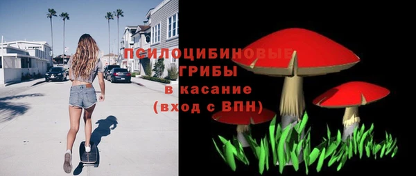 стафф Армянск